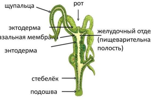 Кракен зеркало 2