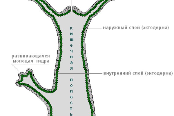 Кракен маркетплейс ссылка тг