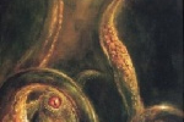 Kraken 21at